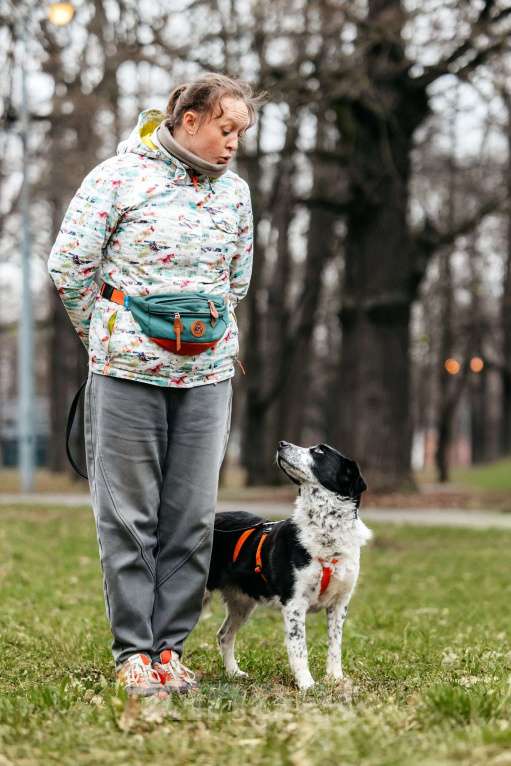 Собаки в Москве: Милый Гуфи ищет дом Мальчик, Бесплатно - фото 5