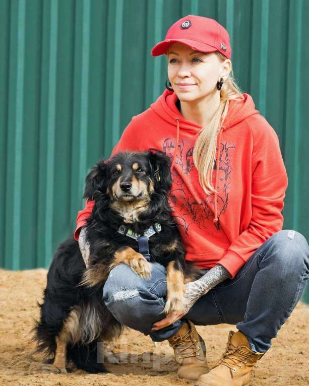 Собаки в других городах Московской области: Добрейший маленький Харви ищет дом Мальчик, Бесплатно - фото 10
