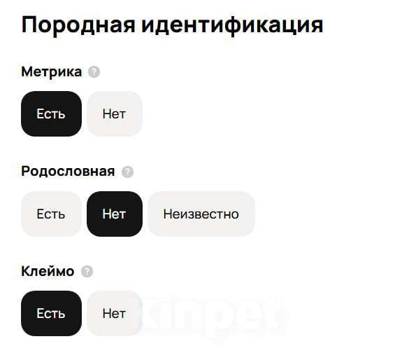 Собаки в Красноярске: Сиба-ину, щенок Мальчик, 50 000 руб. - фото 8