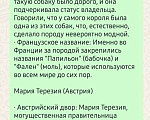 Собаки в других городах Московской области: Мальчик щенок Папильон Мальчик, 45 000 руб. - фото 7
