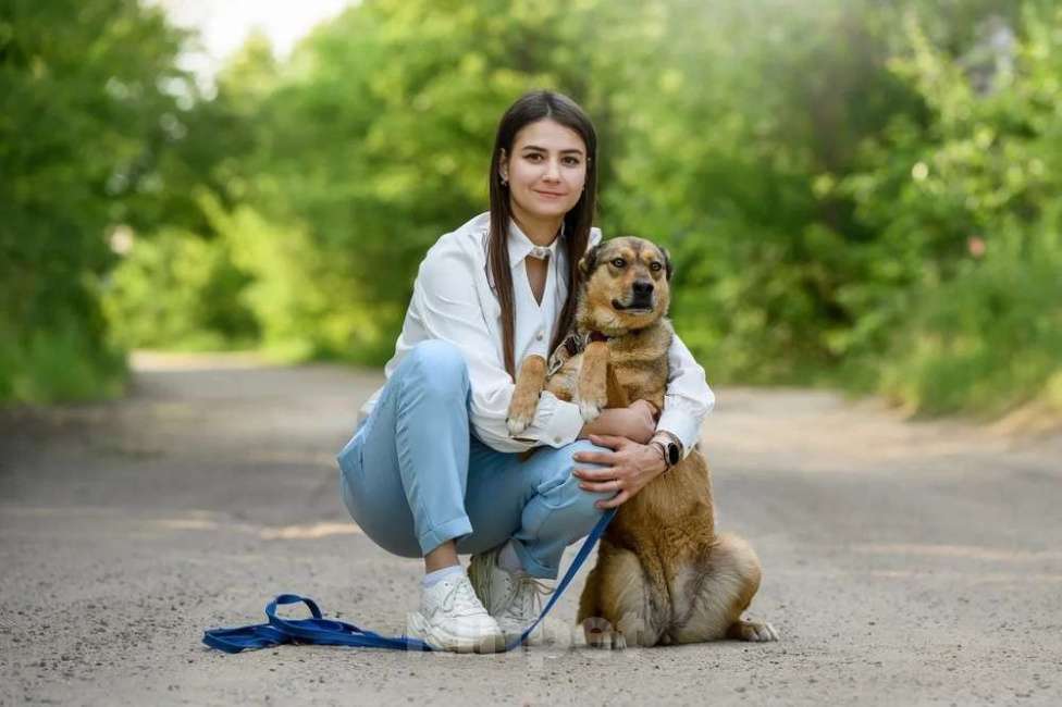 Собаки в Ярославле: Лиза ждет Вас в приюте! Девочка, Бесплатно - фото 7