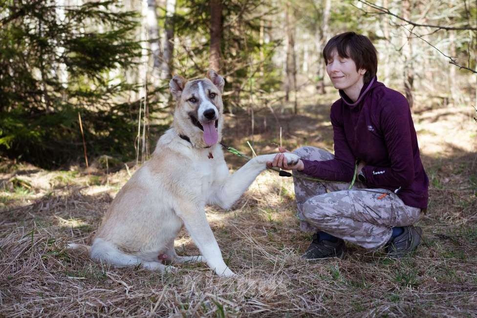 Собаки в Москве: Супер-пёс в добрые руки Мальчик, Бесплатно - фото 4