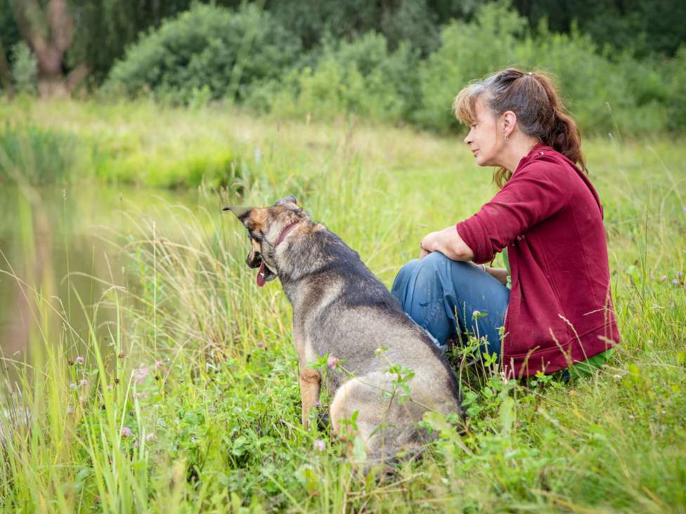 Собаки в Солнечногорске: Фея в добрые руки Девочка, Бесплатно - фото 7