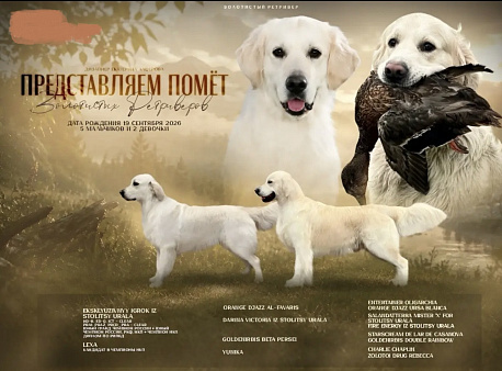 Раннее бронирование