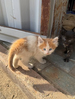 😻 Они ждут своих родителей…