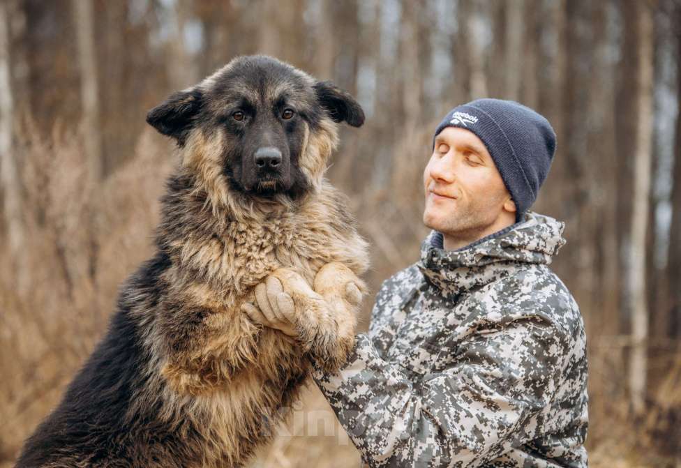Собаки в Москве: Большой, трусливый великан ищет семью Мальчик, Бесплатно - фото 8
