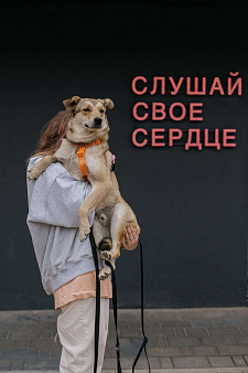 Объявление: Поцелуйчик каждый день , 1 руб., Москва