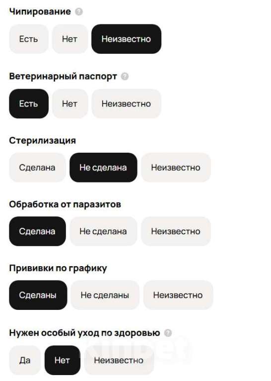 Собаки в Красноярске: Сиба-ину, щенок Мальчик, 50 000 руб. - фото 9
