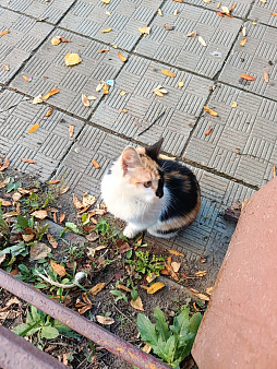 Милая девчушка в любящие ручки ❤️