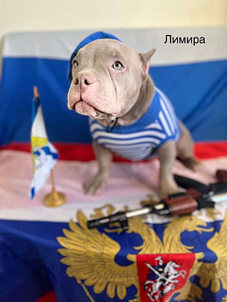 Лимира