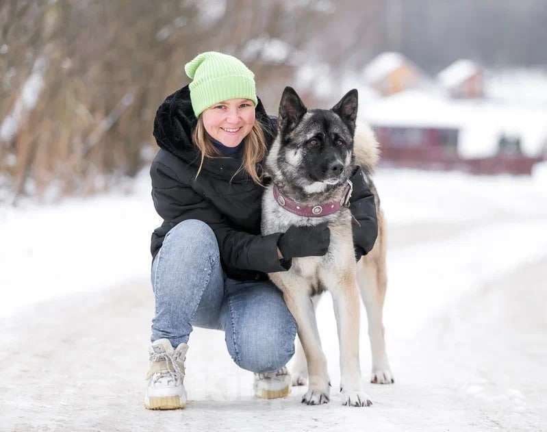 Собаки в Москве: Нори Девочка, 10 руб. - фото 2