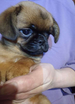 Эксклюзивная девочка