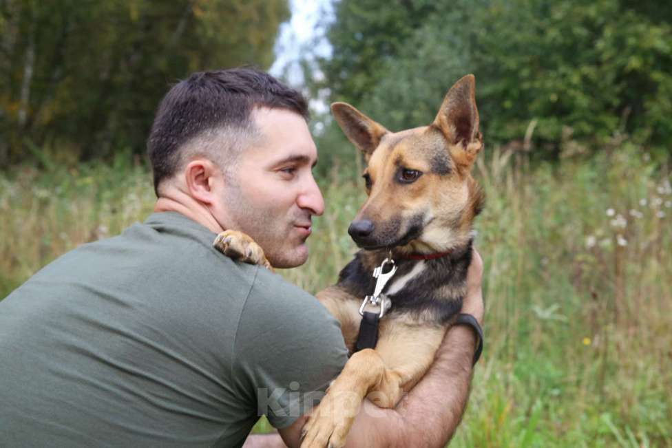 Собаки в Москве: Тиша Девочка, Бесплатно - фото 21