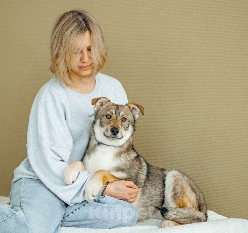 Собаки в Москве: Щенок бесплатно в Москве Девочка, Бесплатно - фото 10