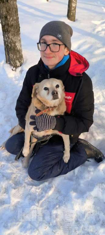 Собаки в Москве: Молодая маленькая Бэлла в добрые руки! Девочка, Бесплатно - фото 5