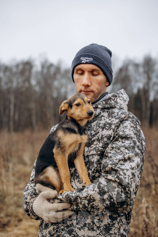 Собаки в Москве: Маленькая девочка из приюта ищет дом! Девочка, Бесплатно - фото 1