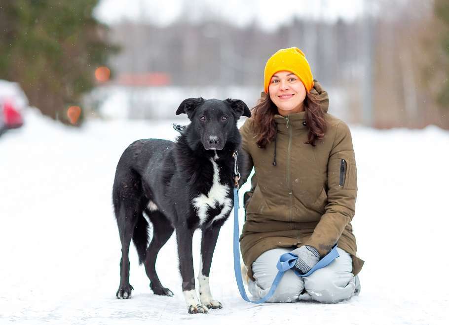 Собаки в Москве: Денвер Мальчик, Бесплатно - фото 7