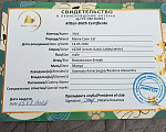 Кошки в Омске: Мейн-кун Мальчик, 35 000 руб. - фото 2