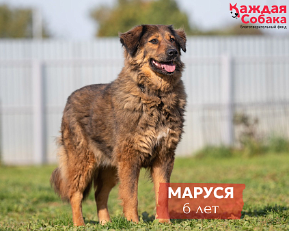 Маруся - образец доброты и всепрощения» ❤️