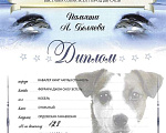 Собаки в Москве: Вязка Мальчик, 1 руб. - фото 4