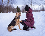 Собаки в Москве: Активный, жизнерадостный особенный мальчишка Мальчик, Бесплатно - фото 1