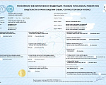 Собаки в Санкт-Петербурге: Инфинити короткошерстная чихуа шоколадного окраса Девочка, 80 000 руб. - фото 8