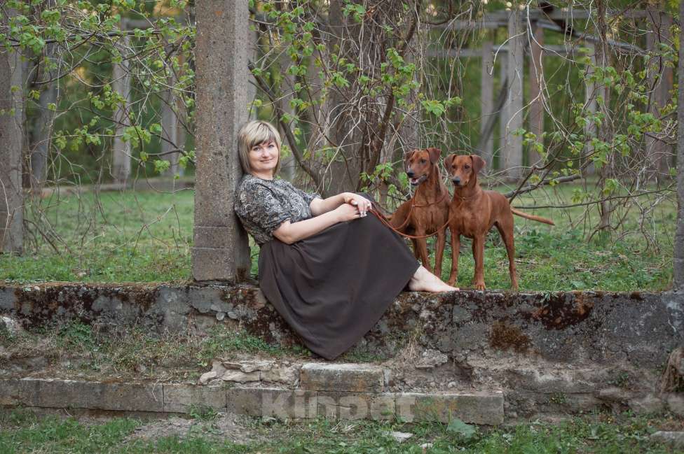 Собаки в других городах Ленинградской области: Питомник предлагает щенков Мальчик, 80 000 руб. - фото 3