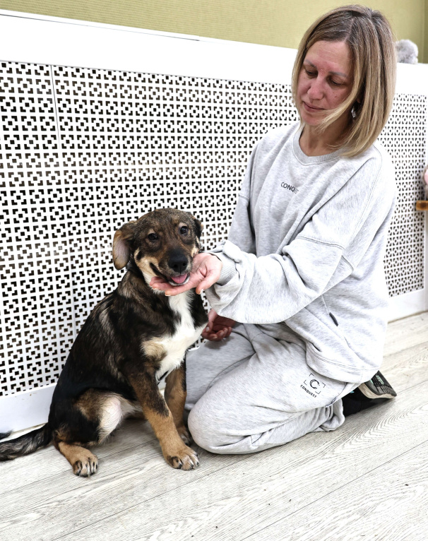 Собаки в Москве: Щенки бесплатно в Москве Девочка, Бесплатно - фото 5