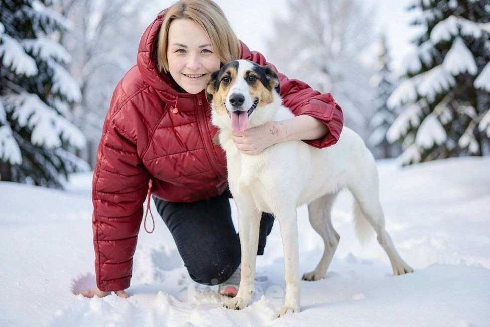 Собаки в Видном: Мафи, собачка ищет дом Девочка, Бесплатно - фото 2