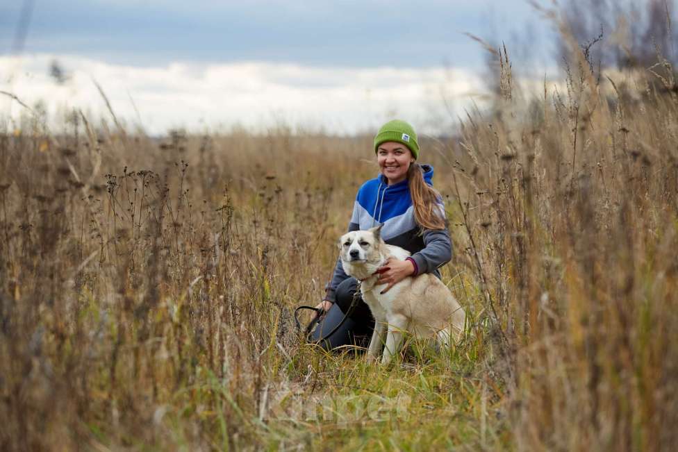 Собаки в Москве: Эльза Девочка, Бесплатно - фото 2