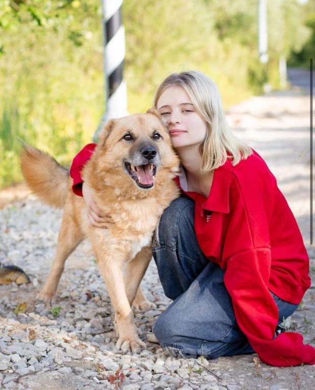 Собаки в Москве: Бренд Мальчик, Бесплатно - фото 3