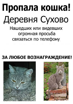 Объявление: Помогите найти кошку, 1 руб., Кемерово