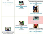 Собаки в Пскове: Щенок бельгийского гриффона Мальчик, 50 000 руб. - фото 2