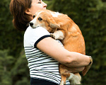 Собаки в Самаре: Девочка Эстель Руж Девочка, 50 000 руб. - фото 3