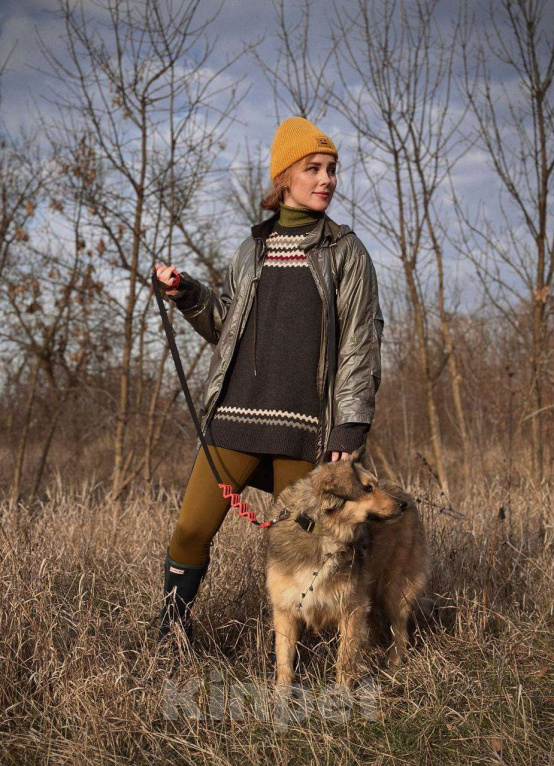 Собаки в Краснодаре: Спокойная собака ищет своего человека  Девочка, Бесплатно - фото 9