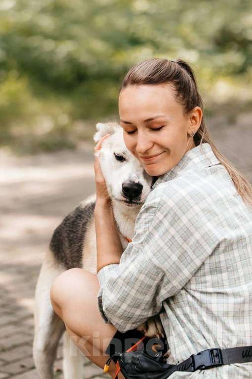 Собаки в Москве: Марко - мальчик, который смог 🧙 Мальчик, Бесплатно - фото 5