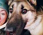 Собаки в Балашихе: замечательный пес ,которого никто не замечает Мальчик, 10 руб. - фото 6