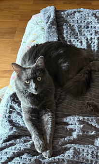 Я ПОТЕРЯЛСЯ!!!