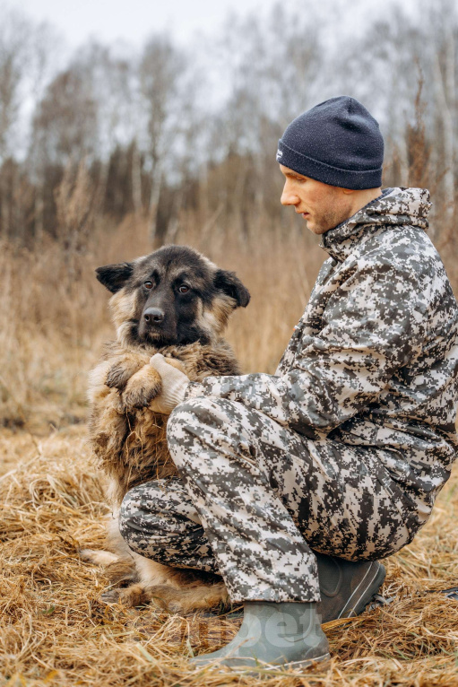Собаки в Москве: Большой, трусливый великан ищет семью Мальчик, Бесплатно - фото 7