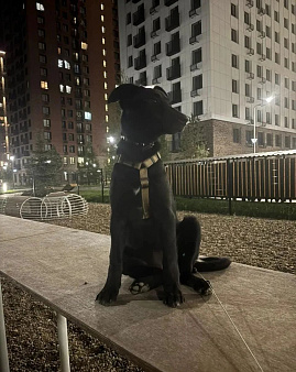 Пристрой
