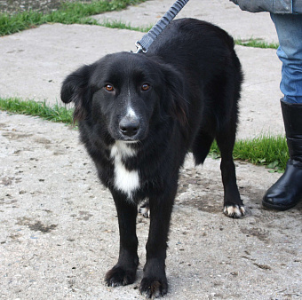 Молоденькая красавица Оливка ищет свою родную семью 