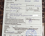 Собаки в Санкт-Петербурге: Шанелька шоколадка чихуахуа ждет Вас Девочка, 35 000 руб. - фото 5