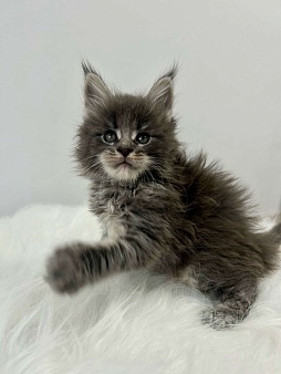 Голубой мальчик