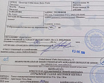 Собаки в Москве: Девочка кофейного окраса Девочка, 90 000 руб. - фото 7