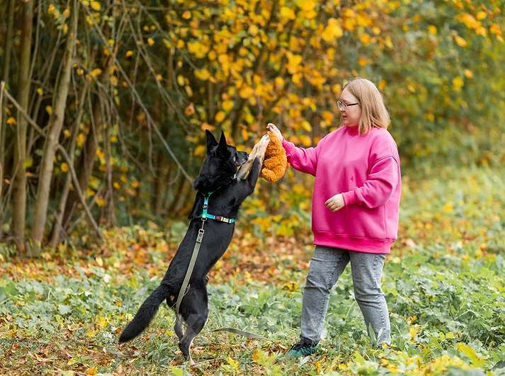 Собаки в Москве: Ампер Мальчик, Бесплатно - фото 8