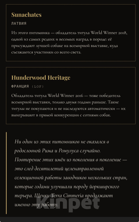 Собаки в Москве: Щенок йоркширского терьера, мальчик, РКФ, Ром Аль Капоне Мальчик, 100 000 руб. - фото 6