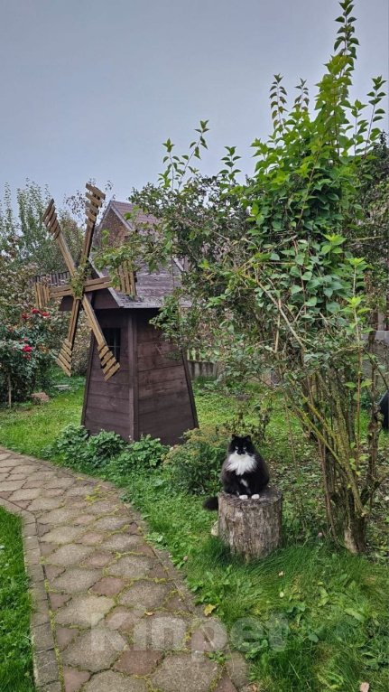 Кошки в других городах Московской области: Пропал черно-белый кот деревня Афанасово Мальчик, 10 000 руб. - фото 4