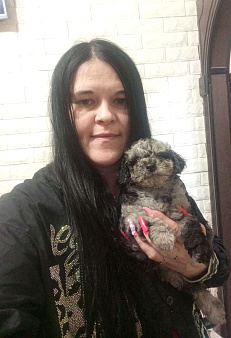 Шикарные щенки той пуделя🥰