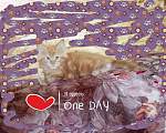 Кошки в Магнитогорске: Котята Мейн кун, 5 000 руб. - фото 3
