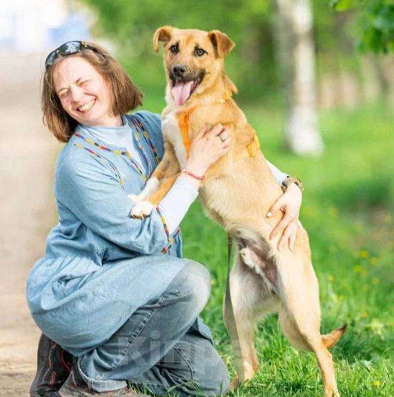 Собаки в Кубинке: Выбери меня! Мальчик, Бесплатно - фото 2